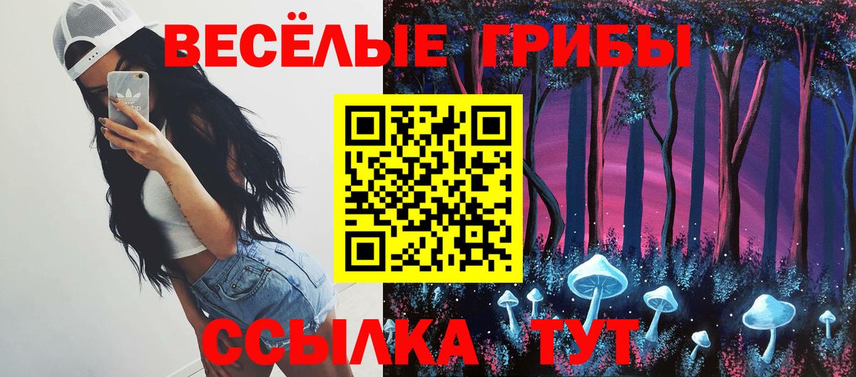 Псилоцибиновые грибы прущие грибы  Вход с VPN  Луга  Галлюциногенные грибы мухоморы 
